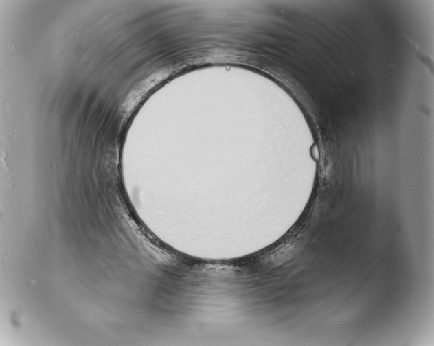 X0000103970437200810171929