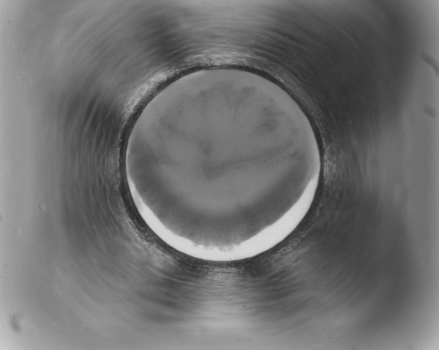 X0000103970438200810171929
