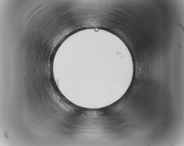 X0000103970439200810171929