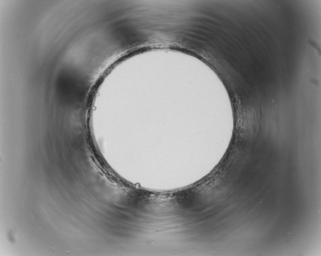 X0000103970440200810171929