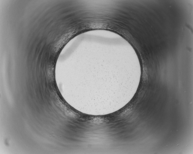 X0000103970441200810171929