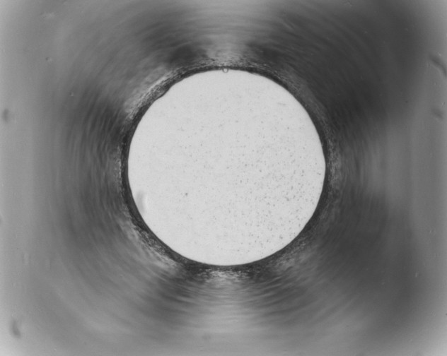 X0000103970442200810171929