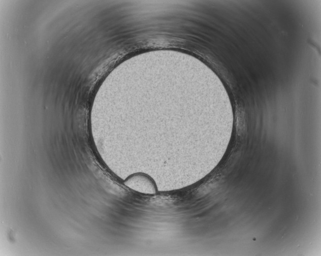 X0000103970445200810171929