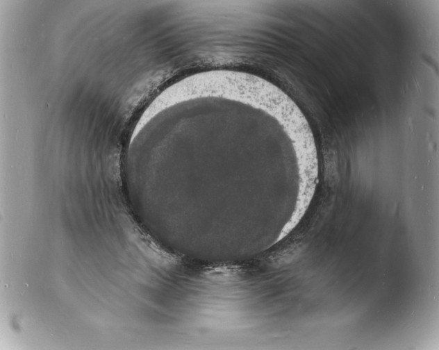 X0000103970447200810171929