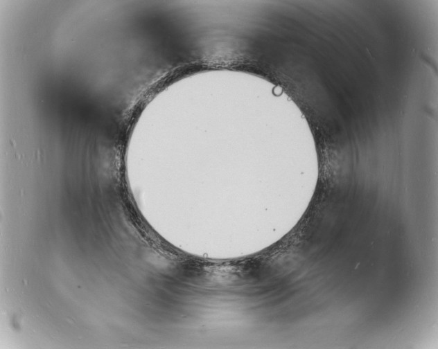 X0000103970448200810171929