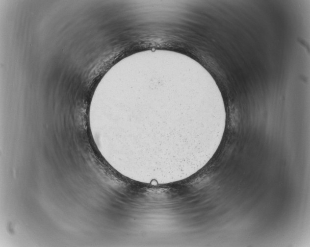 X0000103970450200810171929