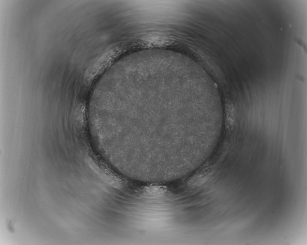X0000103970451200810171929