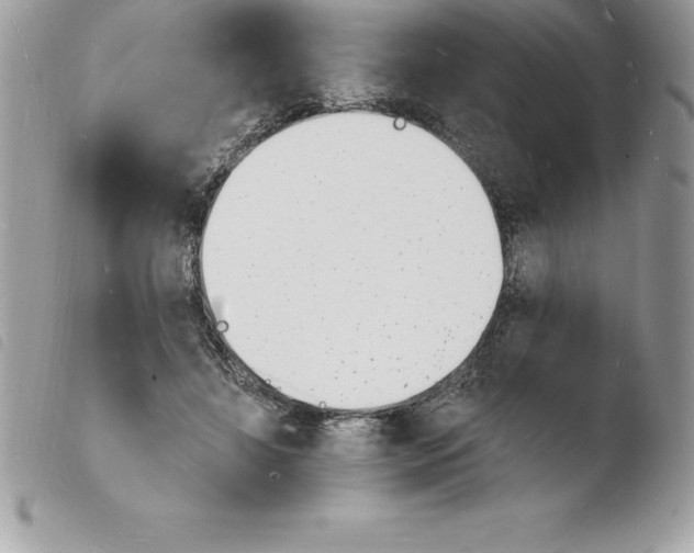 X0000103970452200810171929