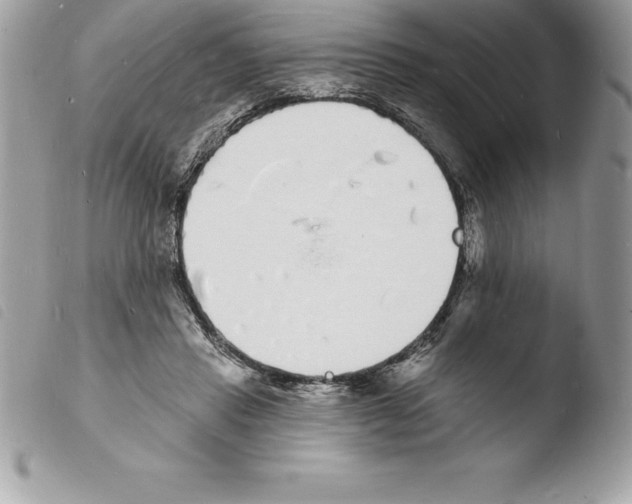 X0000103970453200810171929