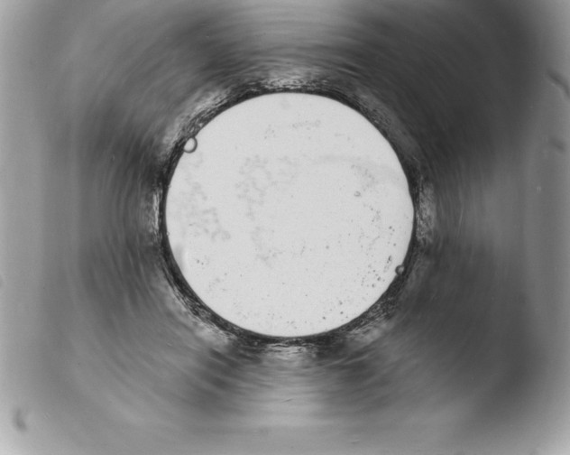 X0000103970454200810171929