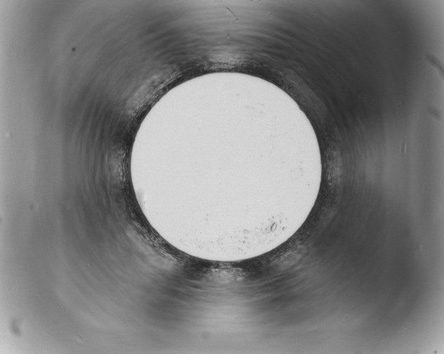 X0000103970455200810171929