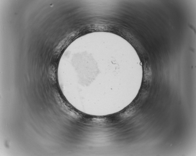 X0000103970457200810171929