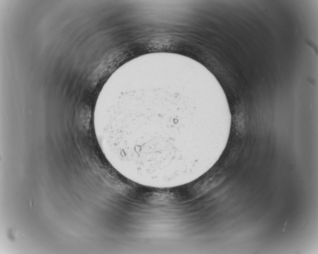 X0000103970458200810171929