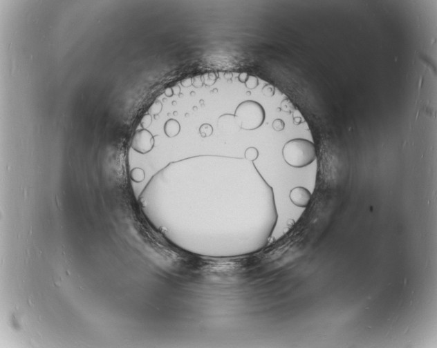 X0000103970459200810171929