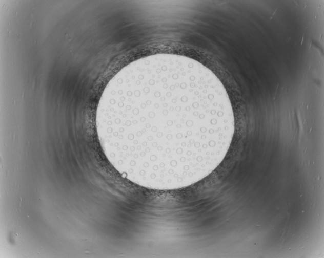 X0000103970460200810171929