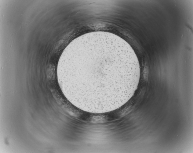 X0000103970461200810171929