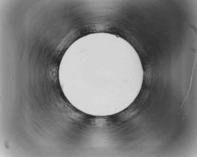 X0000103970462200810171929