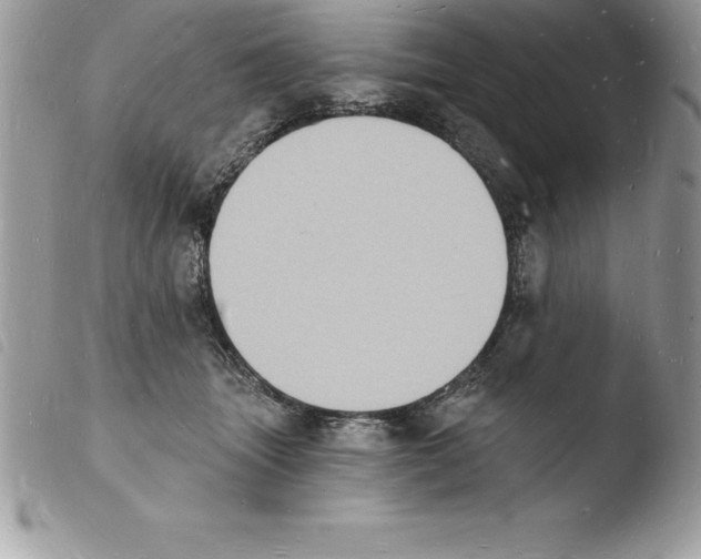 X0000103970463200810171929