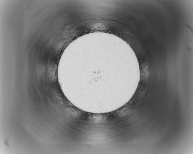 X0000103970464200810171929