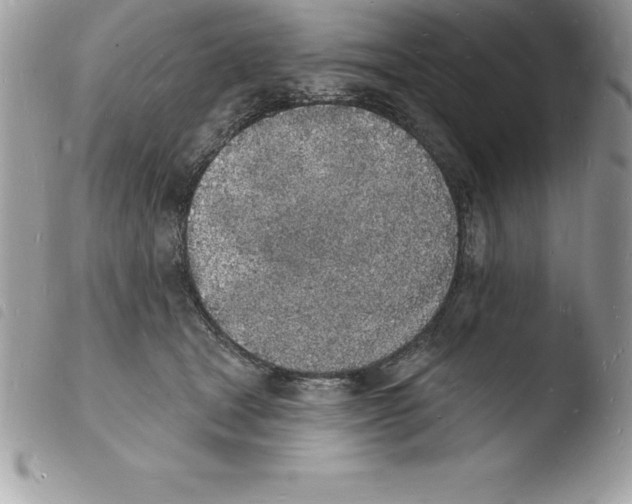 X0000103970465200810171929