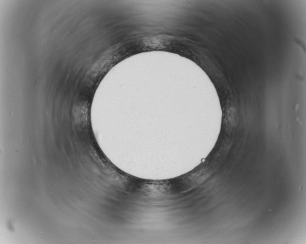 X0000103970466200810171929