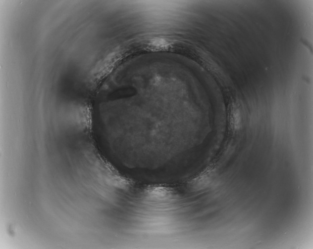 X0000103970467200810171929