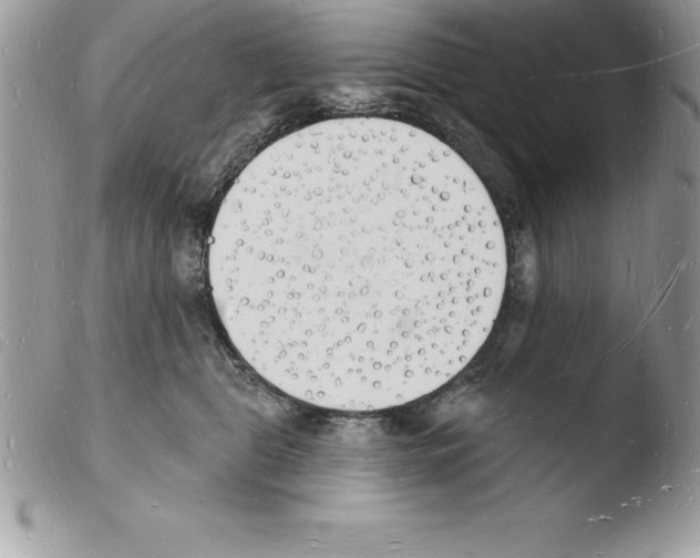X0000103970469200810171929