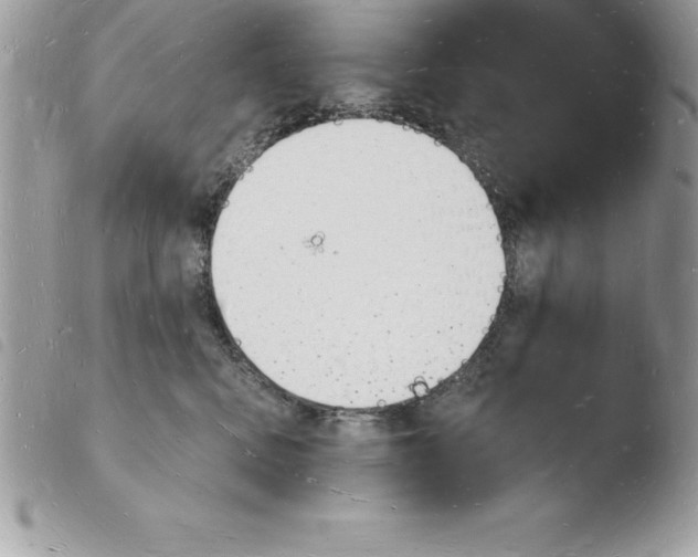 X0000103970472200810171929