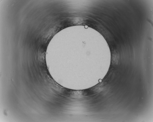 X0000103970473200810171929