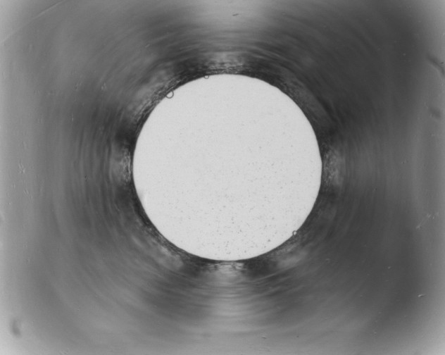 X0000103970474200810171929