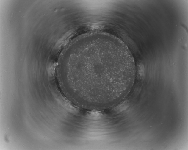 X0000103970475200810171929