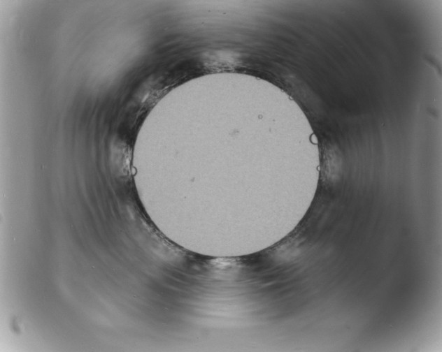 X0000103970477200810171929