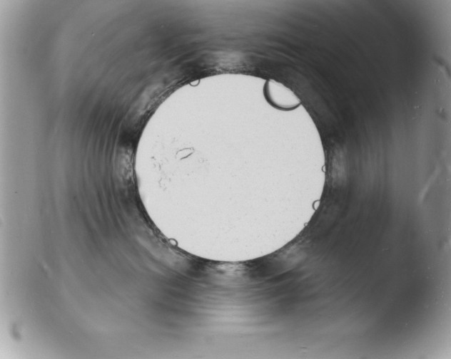 X0000103970478200810171929