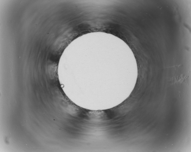 X0000103970480200810171929