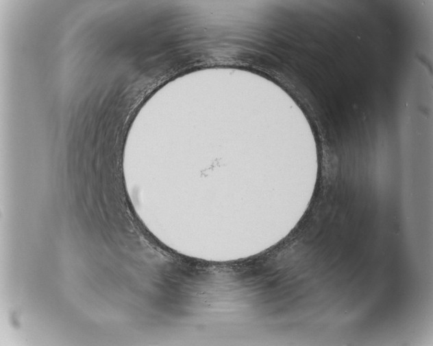 X0000103970481200810171929