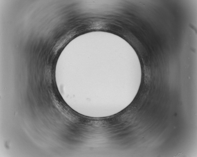 X0000103970482200810171929