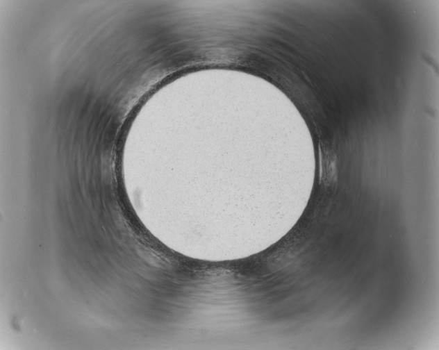 X0000103970483200810171929