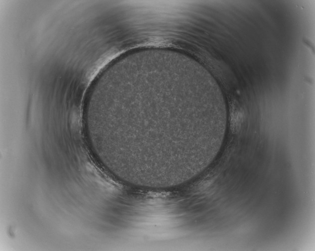 X0000103970484200810171929