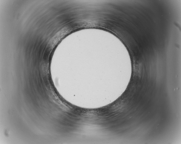 X0000103970485200810171929