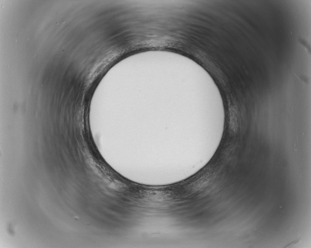 X0000103970486200810171929