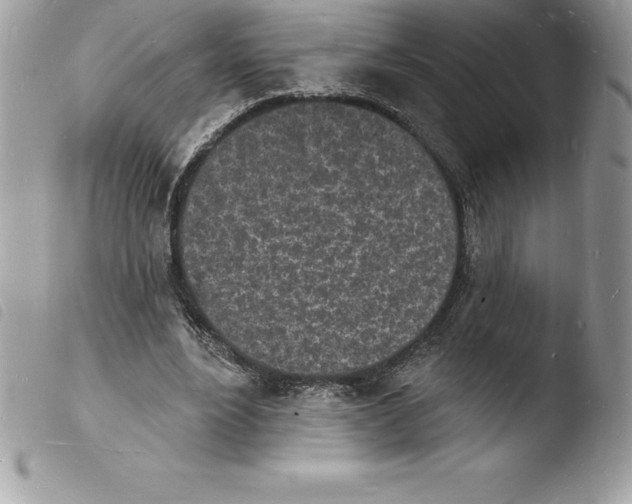 X0000103970488200810171928