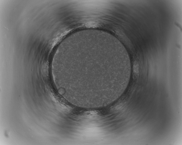 X0000103970492200810171928