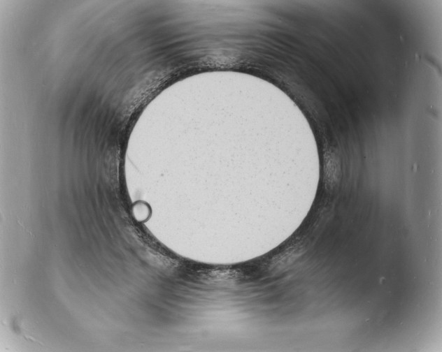 X0000103970493200810171928
