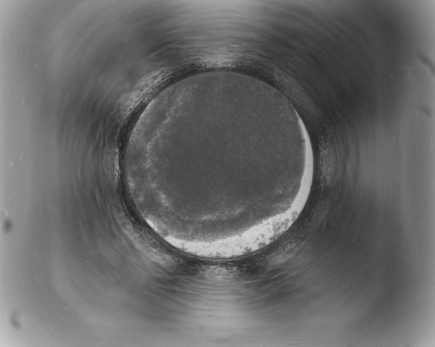 X0000103970494200810171928