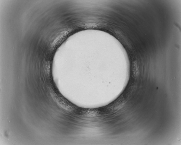 X0000103970495200810171928