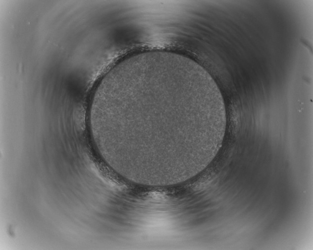 X0000103970496200810171928