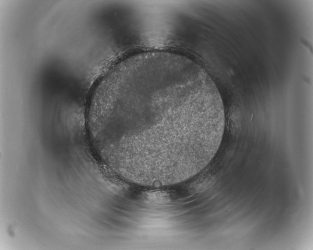 X0000103970500200810171928