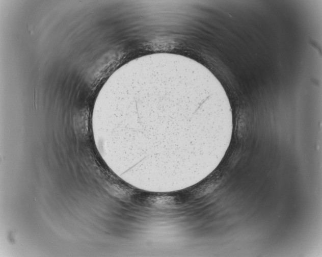 X0000103970501200810171928