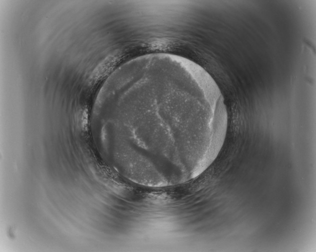 X0000103970502200810171928