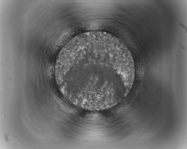 X0000103970503200810171928